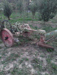 Aratro nardi