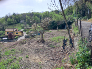 ASCOLI PICENO (AP)