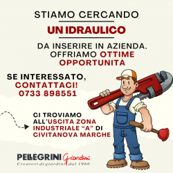 ASSUME PERSONALE _ IDRAULICO CON ESPERIENZA