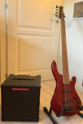 Basso elettrico + amplificatore