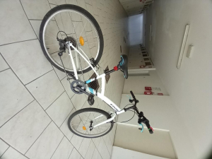 Bici ,24,