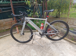Bici assistita