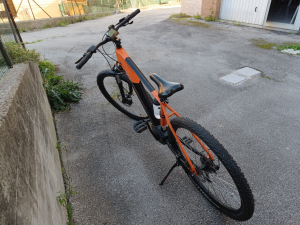 bici con pedalata assistita