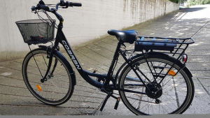 Bici Elettrica