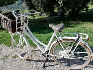 Bicicletta Cortina bianca