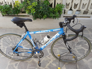 Bicicletta da corsa