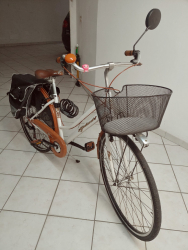 Bicicletta da donna