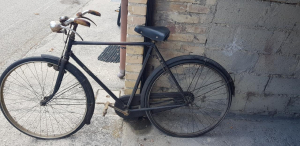 Bicicletta vintage Wander