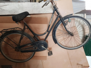 bicicletta