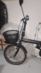 Bicletta elettrica