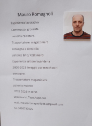 Diplomato disponibile