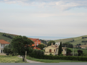 FERMO (FM)