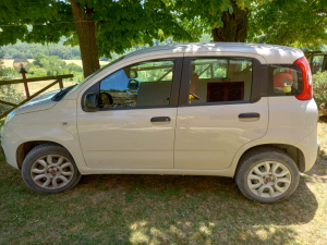 FIAT PANDA