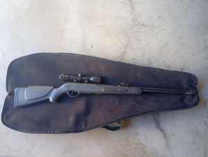 Gamo big cat cf-s Cal 4,5