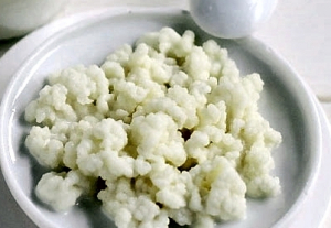 Grani (fermenti) per fare in casa il KEFIR di latte (20 gr.)