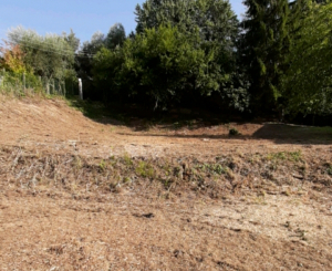 MACERATA (MC)