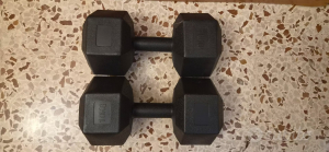 Manubri da palestra 10 kg