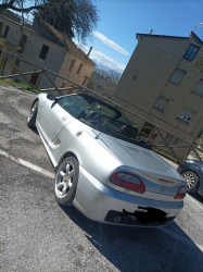 Mg TF
