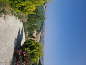 MONTEGRANARO (FM)
