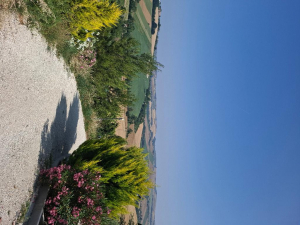 MONTEGRANARO (FM)