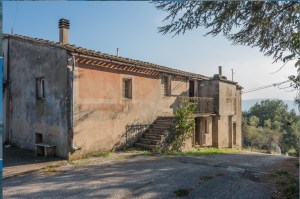 MONTERUBBIANO (FM)