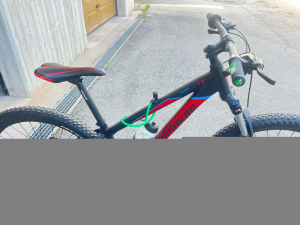 Mountain bike
