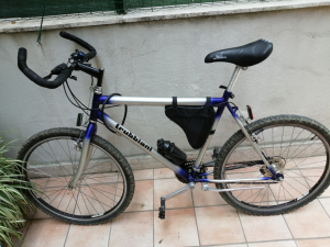 MOUNTAIN BIKE