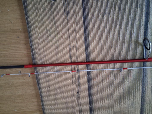 n. 2 canne da spinning