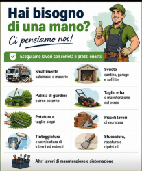 Offro servizi