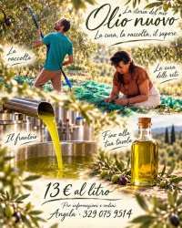 Olio extravergine bio nuovo26