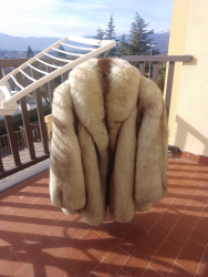 Pelliccia  volpe di groenlandia