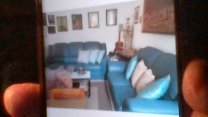 divani