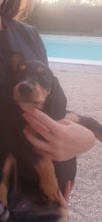 Regalo Maya