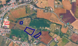 SANT'ELPIDIO A MARE (FM)