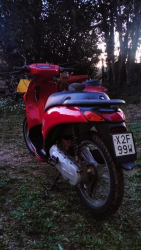 ATALA CAROSELLO 50