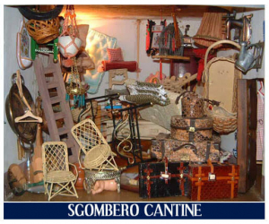 Sgombro soffitto garage