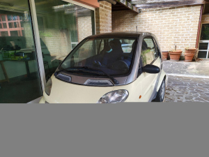Smart Altri modelli