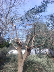 SVUOTA cantine traslochi e non solo