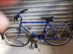 bicicletta