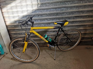 bicicletta