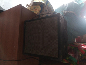 Vendo cassa per chitarra
