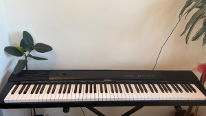 Vendo tastiera 88 Tasti