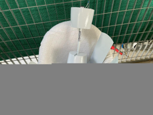 vendo ventilatore Vortice con lampada