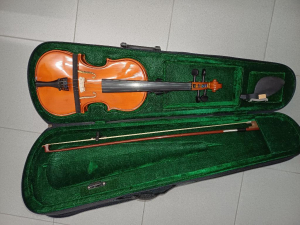 Violino per Principianti 40 euro