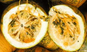 Zucca varietà con semi senza buccia vendo 10 semi da piantar